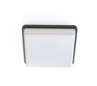 Lubinis šviestuvas TAHOE II 10038