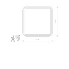 Lubinis šviestuvas TAHOE SENSOR 10040