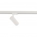  CTLS TINOS LED 20W 10391