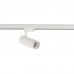  CTLS TINOS LED 20W 10391