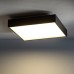 Lubinis šviestuvas QUAD SENSOR 10473