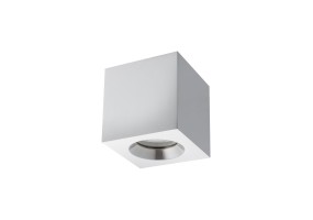 Lubinis/Akcentinis šviestuvas PARANA 10717