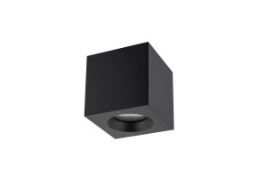 Lubinis/Akcentinis šviestuvas PARANA 10718