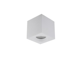 Lubinis/Akcentinis šviestuvas PARANA 10719