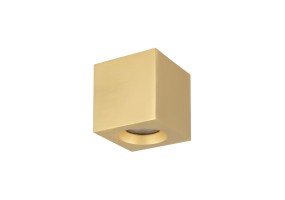 Lubinis/Akcentinis šviestuvas PARANA 10720