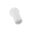 Lubinis/Akcentinis šviestuvas AMIS 10794