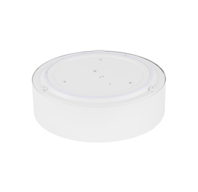 Lauko lubinis šviestuvas LIVO 10985 Lauko lubinis šviestuvas LIVO 10985