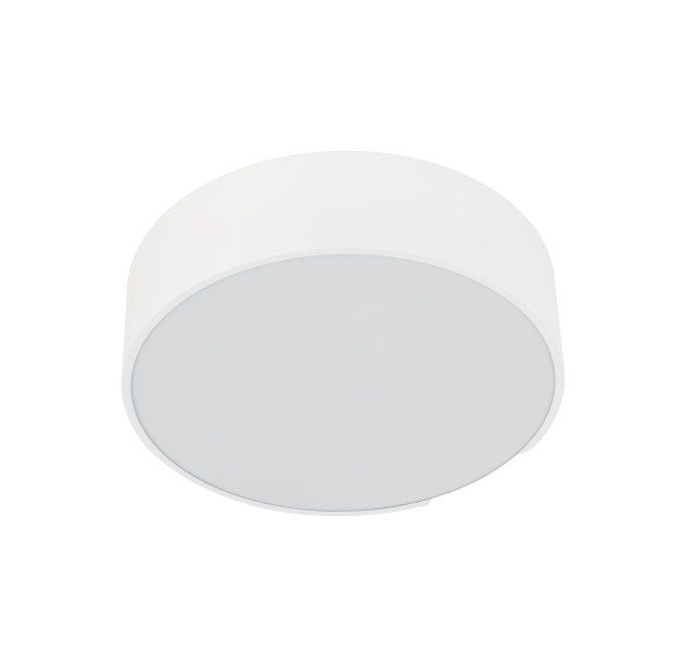 Lauko lubinis šviestuvas LIVO 10985 Lauko lubinis šviestuvas LIVO 10985