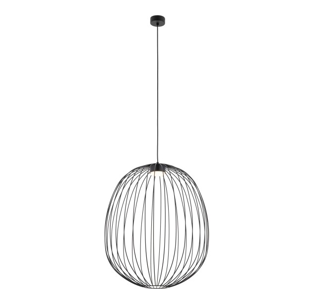 Pakabinamas šviestuvas SPHERA 11301 Pakabinamas šviestuvas SPHERA 11301
