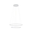 Pakabinamas šviestuvas CIRCOLO POWER LED 11646