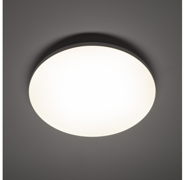 Lubinis šviestuvas DENIA LED M 11756