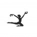 Šviestuvo pridas BALLERINA 11798