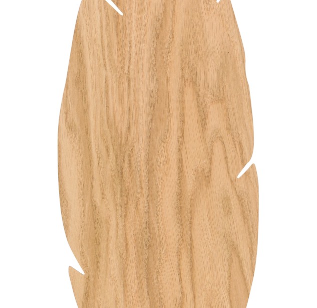 Sieninis šviestuvas HOJA  4678