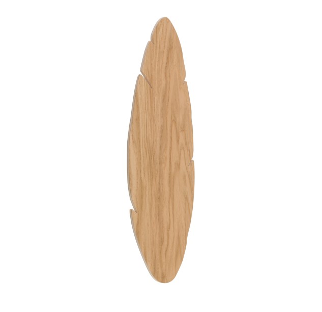 Sieninis šviestuvas HOJA  4678