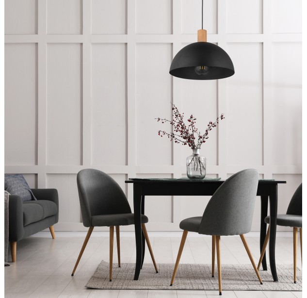 Pakabinamas šviestuvas OSLO  4852
