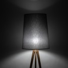 WALZ 5046 Floor Lamp