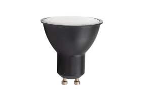 Lemputė ŻARÓWKA 3000K 5588