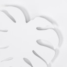Sieninis šviestuvas MONSTERA  5915