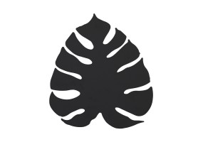 Sieninis šviestuvas MONSTERA  5916