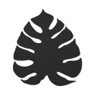 Sieninis šviestuvas MONSTERA  5916
