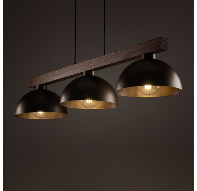 Pakabinamas šviestuvas OSLO 6299