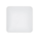 Lubinis šviestuvas AGNES SQUARE LED 8113 Lubinis šviestuvas AGNES SQUARE LED 8113