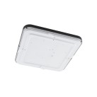 Lubinis šviestuvas AGNES SQUARE LED 8137