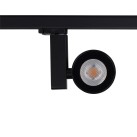 CTLS NEA LED 30W 8751