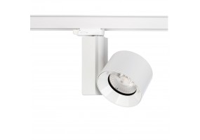  CTLS NEA LED 30W 8753