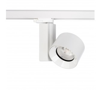  CTLS NEA LED 30W 8753