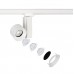  CTLS NEA LED 20W 8756