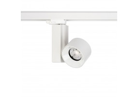  CTLS NEA LED 20W 8756