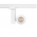  CTLS NEA LED 20W 8757