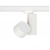  CTLS NEA LED 20W 8757