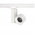  CTLS NEA LED 20W 8757
