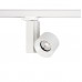  CTLS NEA LED 20W 8757