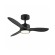 Fans - light fixtures