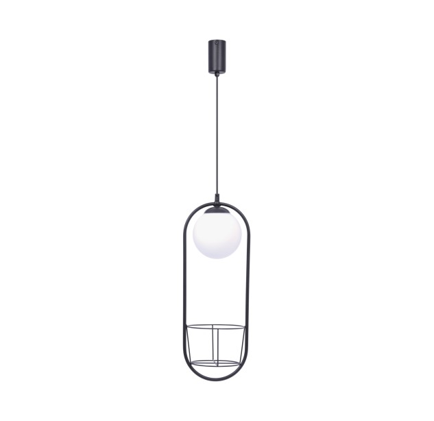 5003 PLANT 1 PENDANT LAMP 5003 PLANT 1 PENDANT LAMP