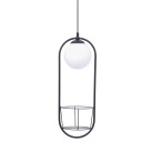 5003 PLANT 1 PENDANT LAMP 5003 PLANT 1 PENDANT LAMP