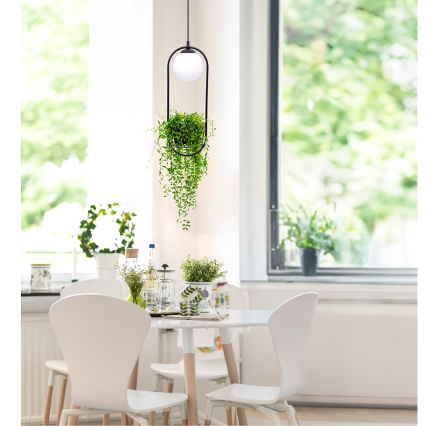 5003 PLANT 1 PENDANT LAMP 5003 PLANT 1 PENDANT LAMP