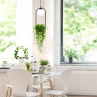5003 PLANT 1 PENDANT LAMP 5003 PLANT 1 PENDANT LAMP