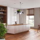 5003 PLANT 1 PENDANT LAMP 5003 PLANT 1 PENDANT LAMP