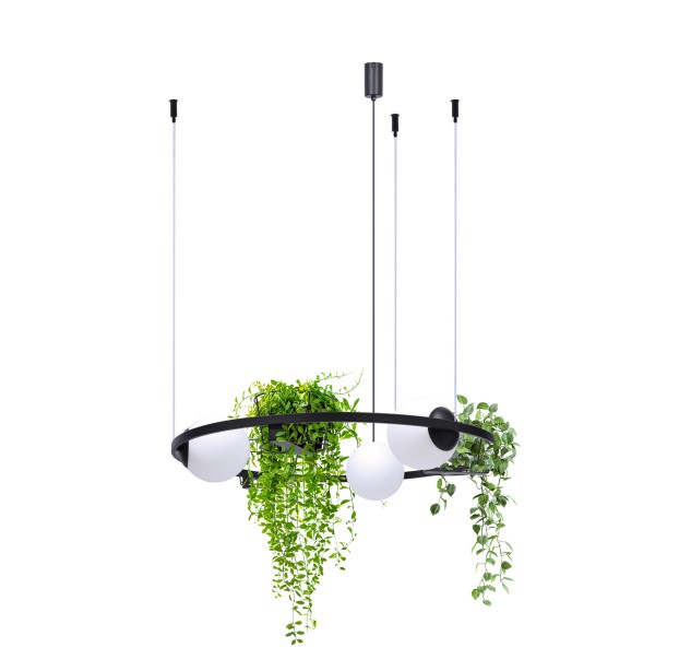 5005 PLANT 3 PENDANT LAMP 5005 PLANT 3 PENDANT LAMP