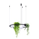 5005 PLANT 3 PENDANT LAMP 5005 PLANT 3 PENDANT LAMP