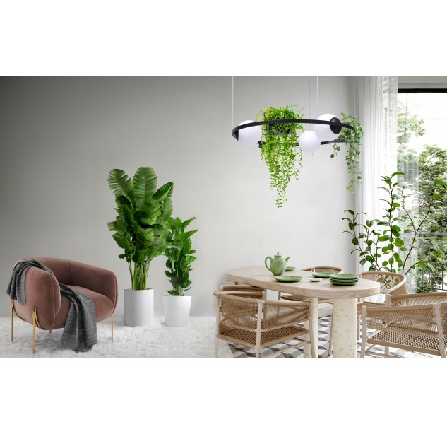 5005 PLANT 3 PENDANT LAMP 5005 PLANT 3 PENDANT LAMP