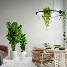 5005 PLANT 3 PENDANT LAMP 5005 PLANT 3 PENDANT LAMP