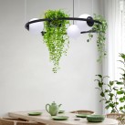 5005 PLANT 3 PENDANT LAMP 5005 PLANT 3 PENDANT LAMP