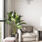 19154L TERRE LAMPA SUFITOWA CHROME