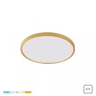 WM-BP1108-S-G CAMI AUKSO SPINTELĖS ŠVIESOS KŪNAS WM-BP1108-S-G CAMI AUKSO SPINTELĖS ŠVIESOS KŪNAS