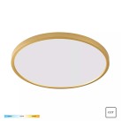 WM-BP1108-L-G CAMI AUKSO SPODAINIS ŠVIESOS ŠALTINIS WM-BP1108-L-G CAMI AUKSO SPODAINIS ŠVIESOS ŠALTINIS